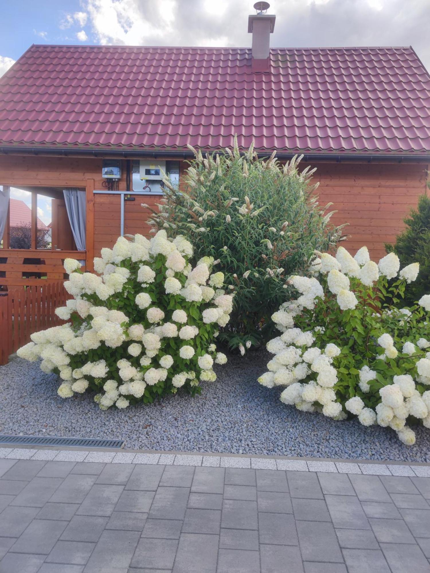 Miodowa Sadyba Domki Caloroczne Kluczbork Ligota Zamecka Exterior photo